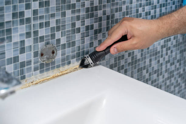 Best Local Mold Removal Service  in Owensville, MO