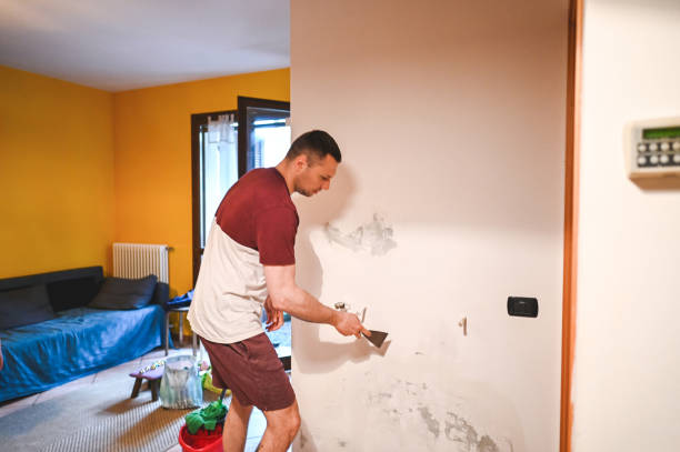 Best Emergency Mold Removal  in Owensville, MO
