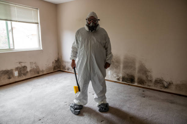 Best Crawl Space Mold Removal  in Owensville, MO